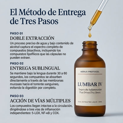 IV Lumbar - Protocolo de disco específico